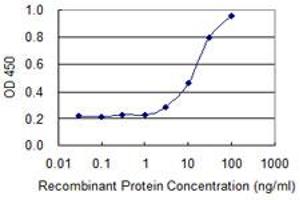 Detection limit for recombinant GST tagged POLR2A is 1 ng/ml as a capture antibody. (POLR2A/RPB1 抗体  (AA 1-110))
