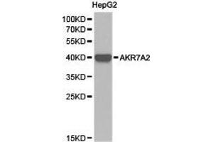 Western Blotting (WB) image for anti-Aflatoxin Beta1 Aldehyde Reductase (AKR7A2) antibody (ABIN1870908) (AKR7A2 抗体)