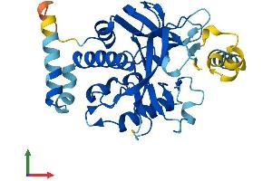 AlphaFold protein structure predicition of Human Recombinant SETD9 Protein, UniprotID Q8NE22