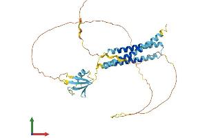 Protein Structure (PS) image for BCL2-Associated Athanogene (BAG1) (AA 1-355) protein (His tag) (ABIN7557599)
