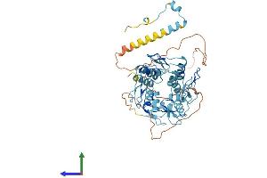 Protein Structure (PS) image for Zinc Finger Protein 563 (ZNF563) (AA 1-476) protein (His tag) (ABIN7545564)