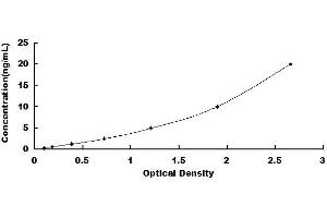 Typical standard curve (ube3a ELISA 试剂盒)