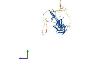 Protein Structure (PS) image for Non-POU Domain Containing, Octamer-Binding (NONO) (AA 1-471) protein (His tag) (ABIN7554782)