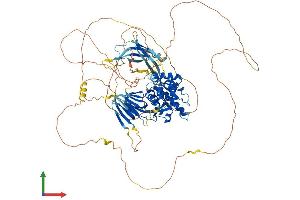 Protein Structure (PS) image for phosphofurin Acidic Cluster Sorting Protein 2 (PACS2) (AA 1-862) protein (His tag) (ABIN7563771)