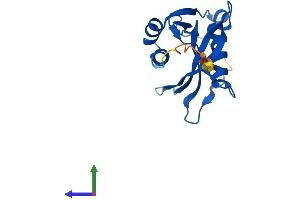 Protein Structure (PS) image for Nudix (Nucleoside Diphosphate Linked Moiety X)-Type Motif 11 (NUDT11) (AA 1-164) protein (His tag) (ABIN7562786)
