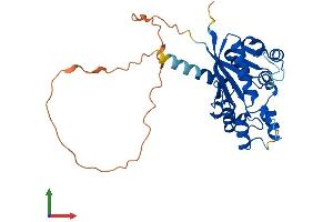 Protein Structure (PS) image for Nicotinamide Nucleotide Adenylyltransferase 2 (NMNAT2) (AA 1-307) protein (His tag) (ABIN7558783)