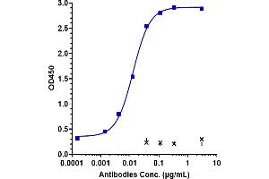 Immobilized human DLK1. (Recombinant DLK1 抗体)