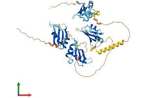 Protein Structure (PS) image for RNA Binding Motif Protein 45 (RBM45) (AA 1-476) protein (His tag) (ABIN7558654)