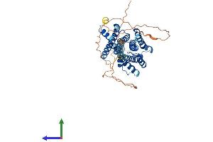 Protein Structure (PS) image for Muscarinic Acetylcholine Receptor M1 (CHRM1) (AA 1-460) protein (His tag) (ABIN7551943)