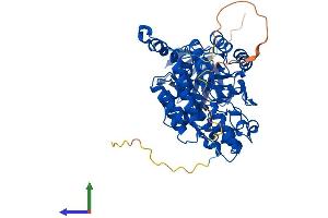 Protein Structure (PS) image for Dihydropyrimidinase-Like 5 (DPYSL5) (AA 1-564) protein (His tag) (ABIN7561399)