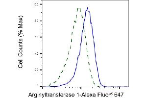 Validation of Arginyltransferase 1 knockdown using flow cytometry. (Recombinant ATE1 抗体)