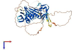 Protein Structure (PS) image for RAD9 Homolog B (RAD9B) (AA 1-426) protein (His tag) (ABIN7551231)