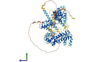 Protein Structure (PS) image for Spastic Paraplegia 7 (SPG7) (AA 1-795) protein (His tag) (ABIN7555633)