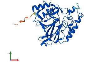AlphaFold protein structure predicition of Human Recombinant MPPED2 Protein, UniprotID Q15777
