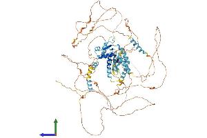 AlphaFold protein structure predicition of Mouse Recombinant E2f8 Protein, UniprotID Q58FA4