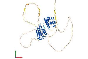 Protein Structure (PS) image for Sex Comb On Midleg-Like 4 (SCML4) (AA 1-408) protein (His tag) (ABIN7558358)