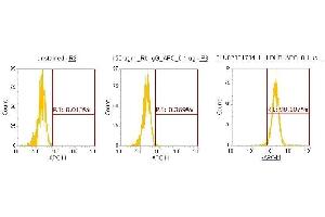 Flow Cytometry (FACS) image for anti-Lactate Dehydrogenase B (LDHB) (AA 1-334) antibody (APC) (ABIN5565783) (LDHB 抗体  (AA 1-334) (APC))