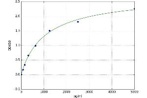 A typical standard curve