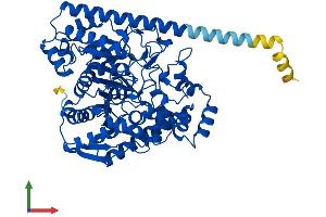 Protein Structure (PS) image for Fatty Acid Amide Hydrolase (FAAH) (AA 1-579) protein (His tag) (ABIN7562225)