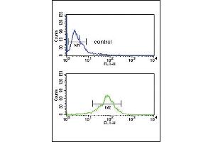 ACOT8 Antibody (C-term) (ABIN653089 and ABIN2842684) flow cytometric analysis of MDA-M cells (bottom histogram) compared to a negative control cell (top histogram). (ACOT8 抗体  (C-Term))