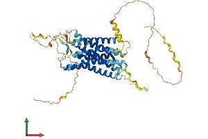 Protein Structure (PS) image for G Protein-Coupled Receptor 150 (GPR150) (AA 1-434) protein (His tag) (ABIN7548153)