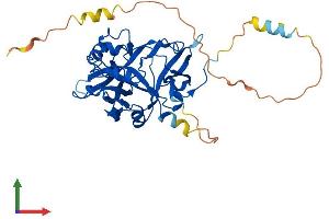 Protein Structure (PS) image for Chromosome 3 Open Reading Frame 37 (C3ORF37) (AA 1-353) protein (His tag) (ABIN7559674)