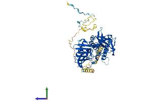 AlphaFold protein structure predicition of Human Recombinant EIF3D Protein, UniprotID O15371