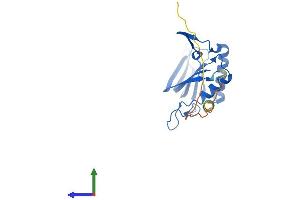 Protein Structure (PS) image for D-Tyrosyl-tRNA Deacylase 1 Homolog (S. Cerevisiae) (DTD1) (AA 1-209) protein (His tag) (ABIN7547239)