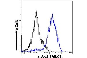 Flow Cytometry (FACS) image for anti-Single-Strand-Selective Monofunctional Uracil-DNA Glycosylase 1 (SMUG1) (N-Term) antibody (ABIN185204)