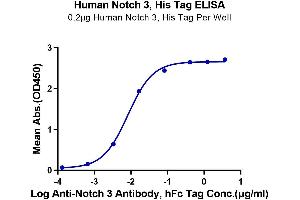 ELISA image for Notch 3 (NOTCH3) (AA 1378-1640) protein (His tag) (ABIN7275361)