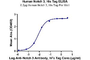 Immobilized Human Notch 3, His Tag at 2 μg/mL (100 μL/Well) on the plate. (NOTCH3 Protein (AA 1378-1640) (His tag))