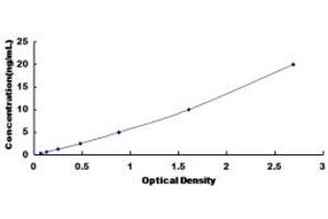 Typical standard curve (JunB ELISA 试剂盒)