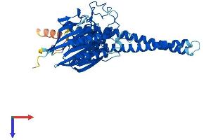 SMPD2 Protein (AA 1-419) (His tag)