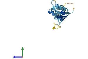 AlphaFold protein structure predicition of Mouse Recombinant Kctd11 Protein, UniprotID Q8K485