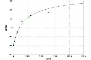 VGF Nerve Growth Factor Inducible (VGF) ELISA Kit