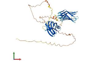 Protein Structure (PS) image for Synaptotagmin XIII (SYT13) (AA 1-426) protein (His tag) (ABIN7561414)