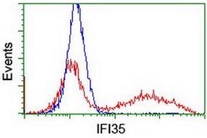 HEK293T cells transfected with either RC200929 overexpress plasmid (Red) or empty vector control plasmid (Blue) were immunostained by anti-IFI35 antibody (ABIN2454906), and then analyzed by flow cytometry. (IFI35 抗体)