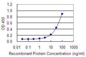 Detection limit for recombinant GST tagged LRRN2 is 1 ng/ml as a capture antibody. (LRRN2 抗体  (AA 532-630))