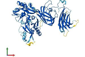 Protein Structure (PS) image for Calpain 5 (CAPN5) (AA 1-640) protein (His tag) (ABIN7552960)