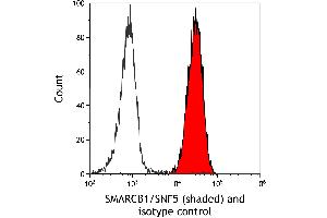Flow Cytometry (FACS) image for anti-SWI/SNF Related, Matrix Associated, Actin Dependent Regulator of Chromatin, Subfamily B, Member 1 (SMARCB1) (AA 225-275) antibody (ABIN7795717)