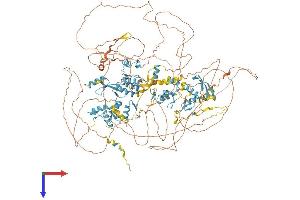 AlphaFold protein structure predicition of Human Recombinant ZNF532 Protein, UniprotID Q9HCE3 (ZNF532 Protein (AA 1-1301) (His tag))