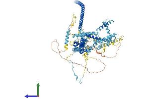 Protein Structure (PS) image for CDC5 Cell Division Cycle 5-Like (S. Pombe) (CDC5L) (AA 1-802) protein (His tag) (ABIN7553334)