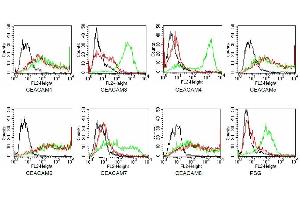Specificity testing of TET2. (CEACAM 1,5,6,8 抗体)