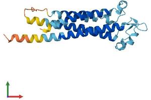 Protein Structure (PS) image for Transmembrane 4 L Six Family Member 1 (TM4SF1) (AA 1-202) protein (His tag) (ABIN7544104)