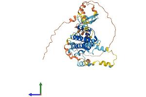 Protein Structure (PS) image for Protein Phosphatase 1, Regulatory Subunit 36 (PPP1R36) (AA 1-422) protein (His tag) (ABIN7551021)