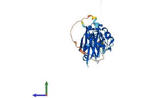 Protein Structure (PS) image for Siah E3 Ubiquitin Protein Ligase 2 (SIAH2) (AA 1-324) protein (His tag) (ABIN7555447)