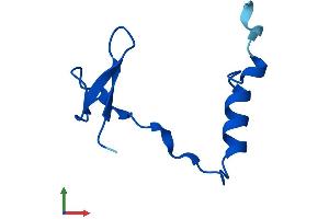 Protein Structure (PS) image for NOP10 Ribonucleoprotein Homolog (Nop10) (AA 1-64) protein (Fc Tag) (ABIN7549798)