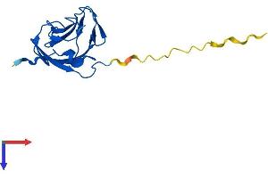 TIFAB Protein (AA 1-161) (His tag)