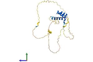 AlphaFold protein structure predicition of Mouse Recombinant Meox1 Protein, UniprotID P32442