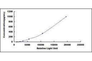 Platelet-Derived Growth Factor C (PDGFC) CLIA Kit